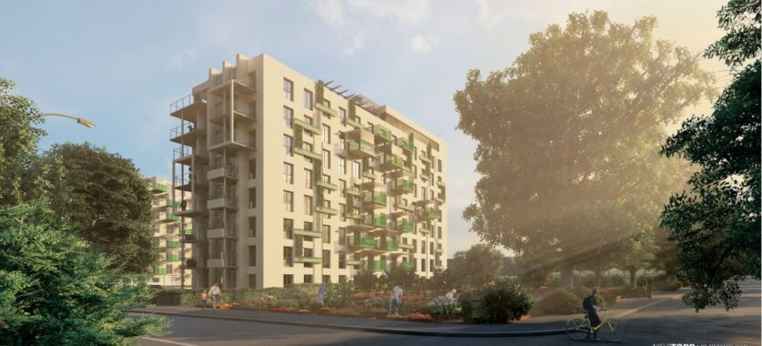 Cicigon Park Cicigon Park